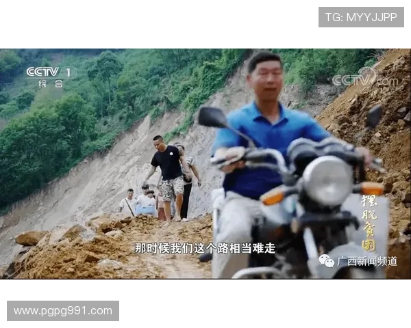 百色综合频道高清在线直播观看入口